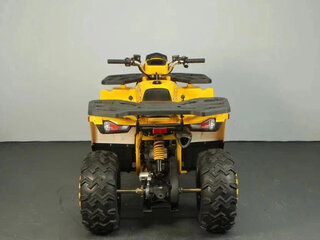 2025 Avantis Hunter 200 Big, жёлтый, 238800 рублей, вид 4