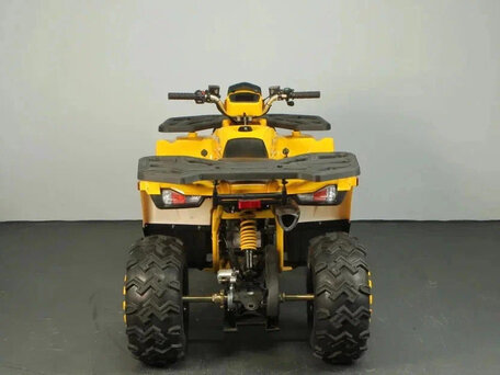 2025 Avantis Hunter 200 Big, жёлтый, 238800 рублей, вид 4