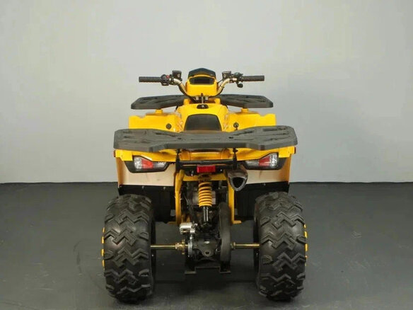 2025 Avantis Hunter 200 Big, жёлтый, 238800 рублей - вид 3