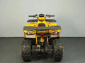 2025 Avantis Hunter 200 Big, жёлтый, 238800 рублей - вид 3
