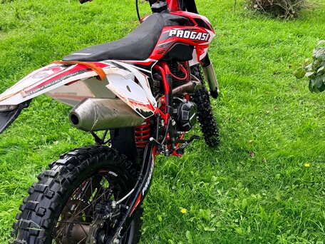 2024 Progasi Super Max 300, красный, 115000 рублей, вид 4