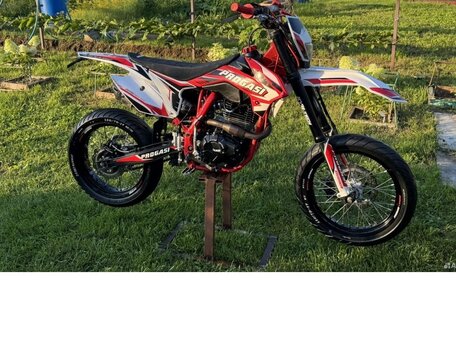2024 Progasi Super Max 300, красный, 110000 рублей, вид 2