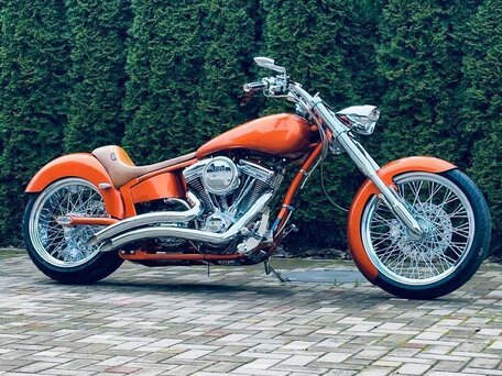2009 Harley-Davidson Softail Custom, оранжевый, 1165111 рублей, вид 5