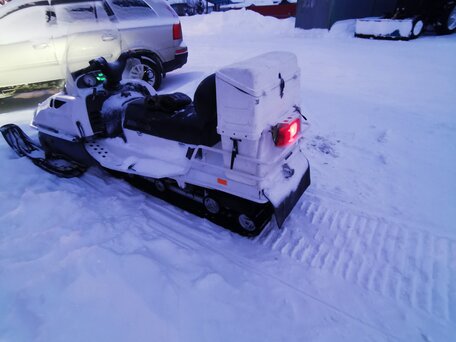 2004 BRP Lynx 6900, белый, 610000 рублей, вид 2