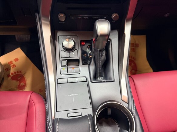 2020 Lexus NX 200 I Рестайлинг, белый, 3115007 рублей - вид 14