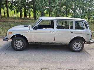 2003 Lada (ВАЗ) 2131 (4x4) I, серебристый, 260000 рублей, вид 4