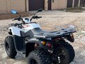 2020 Kayo Big Bull, белый, 195000 рублей - вид 5