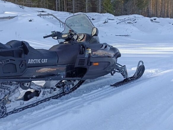 2003 Arctic Cat Pantera, коричневый, 630000 рублей - вид 1
