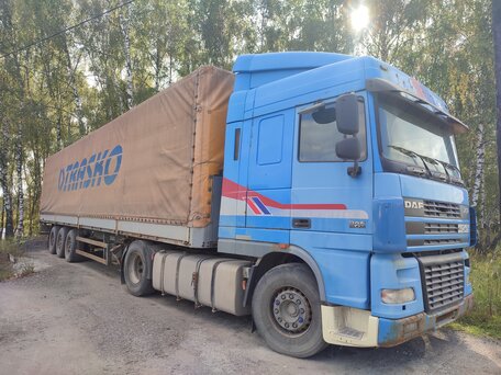 2005 DAF 95XF, синий, 1500000 рублей, вид 1
