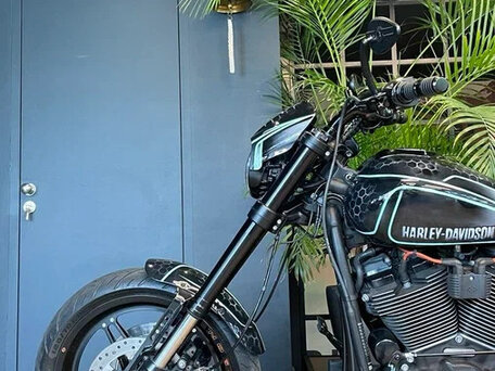 2019 Harley-Davidson FXDR 114, чёрный, 2150000 рублей, вид 4