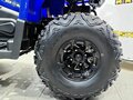 2025 Bison 250U, синий - вид 10