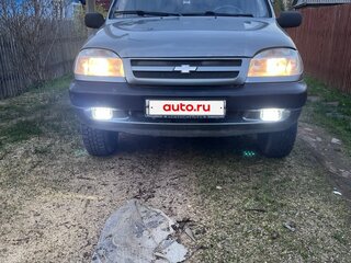 2005 Chevrolet Niva I, серый, 250000 рублей, вид 2