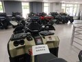 2026 Loncin XWolf 1000, бежевый, 1164000 рублей - вид 6