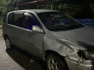 1998 Toyota Ipsum I (M10), серебристый, 400000 рублей, вид 3