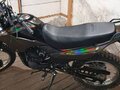 2024 Racer Panther, чёрный, 140000 рублей - вид 2