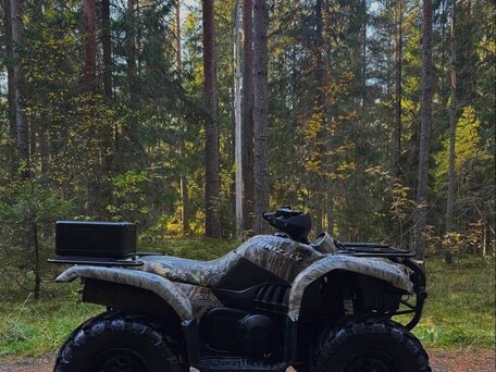 2004 Yamaha Grizzly 660, чёрный, 630000 рублей, вид 2