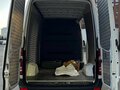 2014 Mercedes-Benz Sprinter, белый, 3520000 рублей - вид 8