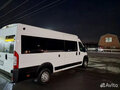 2012 Fiat Professional Ducato, белый, 1600000 рублей - вид 6