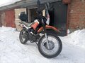 2020 Racer Panther, оранжевый, 105000 рублей - вид 7