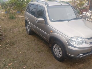2010 Chevrolet Niva I Рестайлинг, серый, 450000 рублей, вид 2