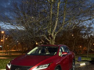 2020 Lexus RX 300 IV Рестайлинг, красный, 4950000 рублей, вид 1