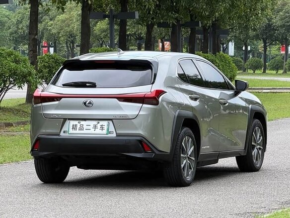 2020 Lexus UX 300e I, серебристый, 1567202 рублей - вид 11