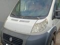 2014 Fiat Professional Ducato, белый, 1200000 рублей