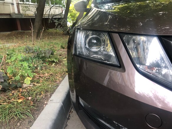 2017 Skoda Octavia III (A7) Рестайлинг, коричневый, 1720000 рублей - вид 7