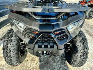 2025 Loncin XWolf 200, чёрный, 250000 рублей, вид 5