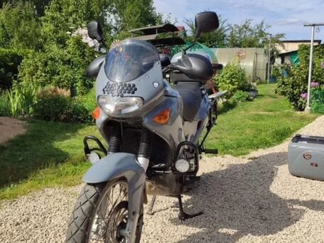 2002 Aprilia Pegaso 650, серый, 260000 рублей, вид 5