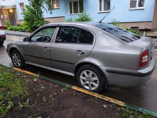 2007 Skoda Octavia I (A4) Рестайлинг, серый, 380000 рублей, вид 2
