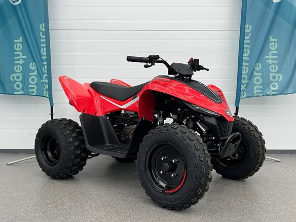 2025 CFMoto CFORCE 110, красный, 269910 рублей - вид 6