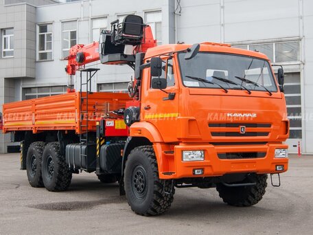 2024 КамАЗ 43118, оранжевый, 11800000 рублей, вид 3