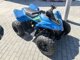 2024 CFMoto CFORCE 110, синий, 200000 рублей, вид 1