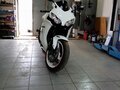 1998 Honda CBR 919RR Fireblade, белый, 395000 рублей