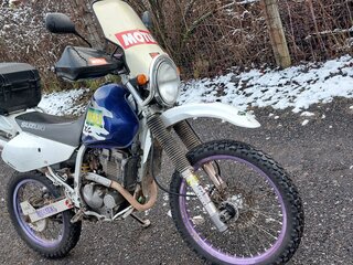 1996 Suzuki Djebel 250, белый, 230000 рублей, вид 2