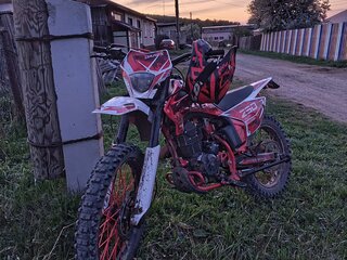 Darex Alga 300