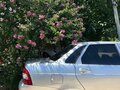 2010 Lada (ВАЗ) Priora I, серебристый, 290000 рублей - вид 4