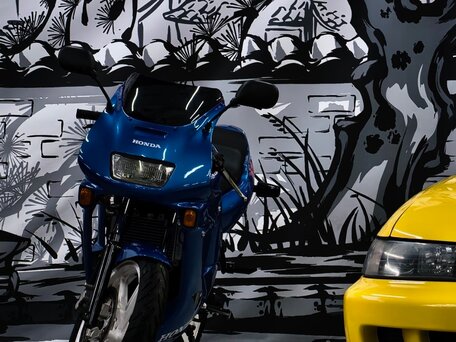 1996 Honda NS, синий, 180000 рублей, вид 5