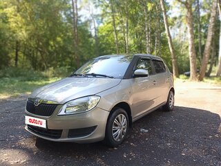 2010 Skoda Fabia II Рестайлинг, серый, 365000 рублей, вид 1
