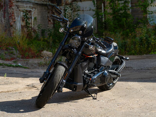 2019 Harley-Davidson FXDR 114, чёрный, 3000000 рублей, вид 2