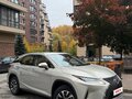 2020 Lexus RX 300 IV Рестайлинг, коричневый, 4650000 рублей - вид 1