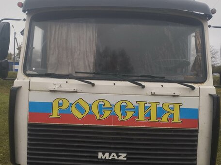 2004 МАЗ 4370, белый, 500000 рублей, вид 1