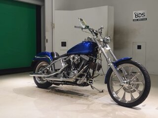 2001 Harley-Davidson Softail Deuce, синий, 694000 рублей, вид 3