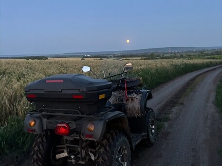2012 Stels UTV 500Н, коричневый, 460000 рублей, вид 2