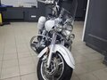 2004 Yamaha XVS1100, белый, 550000 рублей - вид 3