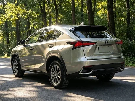 2021 Lexus NX 200 I Рестайлинг, серебристый, 3650000 рублей, вид 4