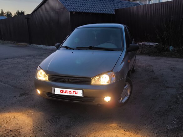 2008 Lada (ВАЗ) Kalina I, серый - вид 21