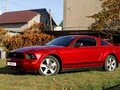 2005 Ford Mustang V, красный, 3000000 рублей - вид 2