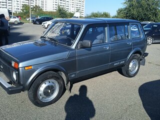 2011 Lada (ВАЗ) 2131 (4x4) Рысь I, серый, 400000 рублей, вид 4